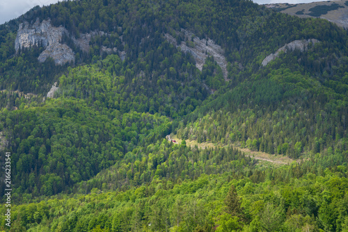 Scenic landscape of forested mountain slopes and rocky cliffs in Salzburg, Austria