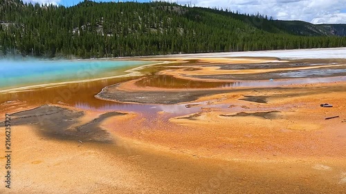 Colorful orange and yellow bacterial mats at the edge of Grand Prismatic Spring in Yellowstone