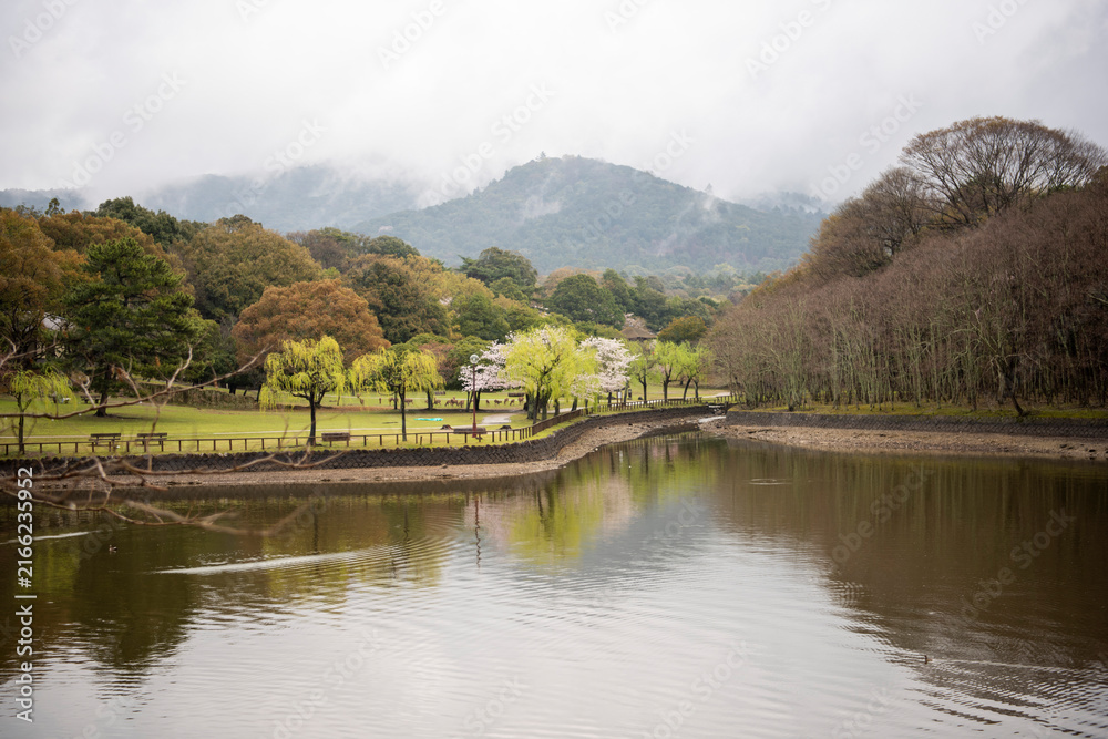 Fototapeta premium 池のある公園
