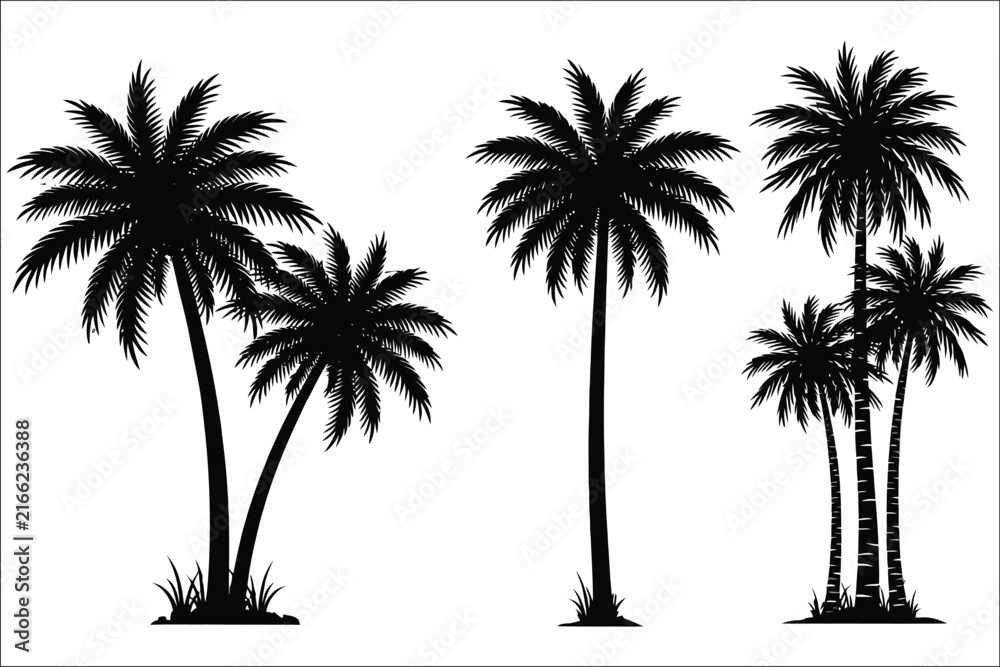 Fototapeta premium Set of black palm tree silhouettes isolated on white background featuring tropical coconut trees in various shapes and sizes, ideal for summer travel, beach themes, island destinations, vacation brand