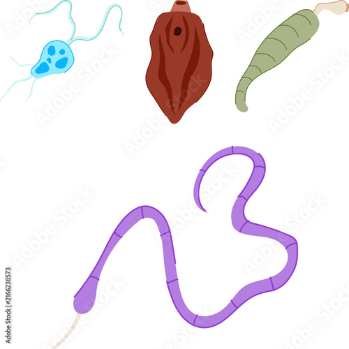 фотографія Different types of microscopic and macroscopic parasites, including protozoan, t