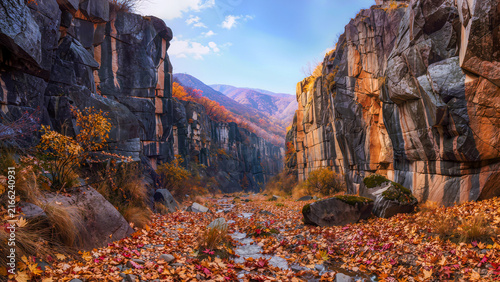 autumn in the park
