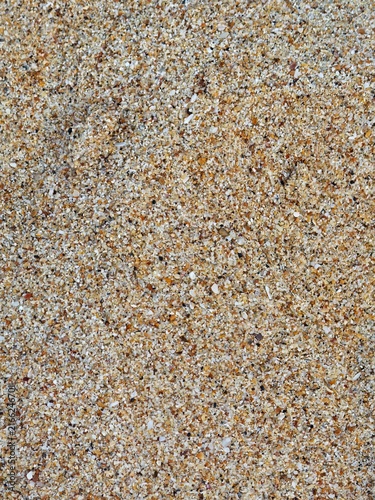Konstfotografi ​Top-down view of coarse beach sand mixed with crushed seashells texture background