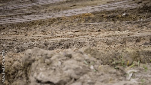 Wet muddy ground with deep tire ruts, earthy brown tones, soft natural lighting. Shallow focus highlights texture. Evokes rural work, construction aftermath, outdoor conditions