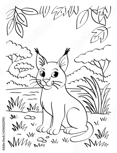 Photography Cute sitting lynx in a natural forest landscape