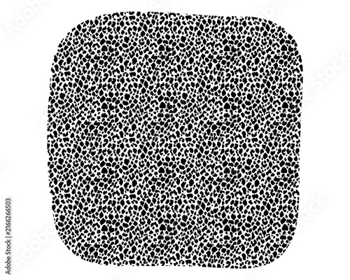 Torn texture. Graphic element for design. Abstract, grunge texture.