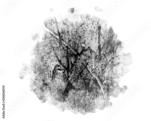 Torn texture. Graphic element for design. Abstract, grunge texture.