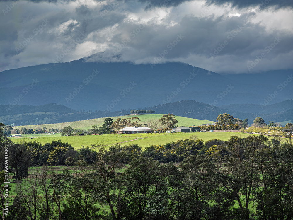 Obraz premium View Over The Trees To Farmhouse