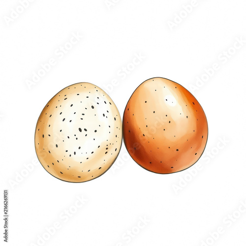 Two speckled chicken eggs isolated on black background