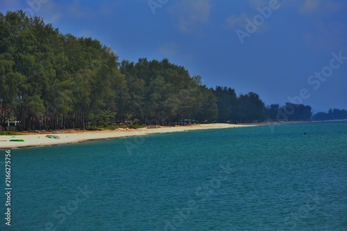 Lush pine trees border a quiet sandy beach and clear blue ocean waters under a bright daylight sky.