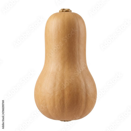 Fresh whole butternut squash winter gourd