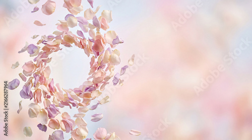 Pastel Flower Petals Spiraling in Dreamy Vortex Background, Botanical Surreal Photography with Copy Space