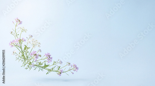 Floating Pastel Wildflowers on Sky Blue Gradient Background, Dreamy Botanical Photography with Copy Space