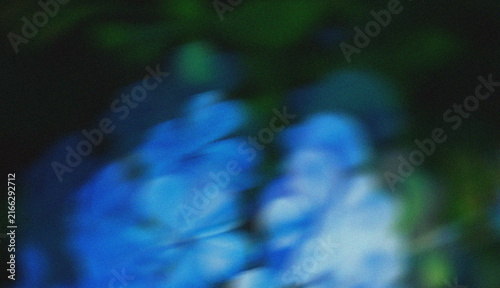 Abstract Blurred Blue Flowers with Soft Motion Effect and Dark Green Natural Background
