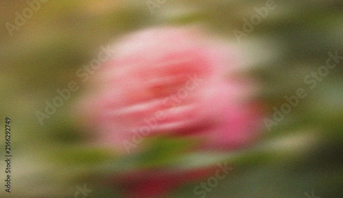 Abstract Blurred Pink Flower with Soft Motion Effect and Natural Green Background