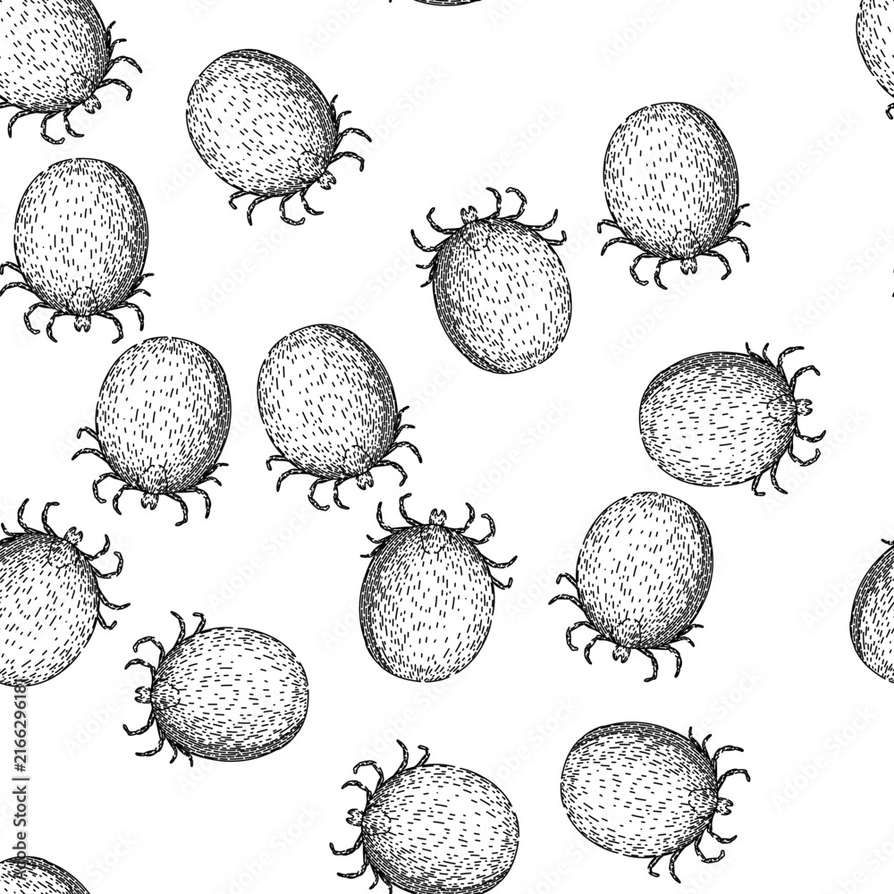 Naklejka premium seamless pattern mite tick hand drawn. bite parasite, animal bed, bedbug forest mite tick black sketch illustration