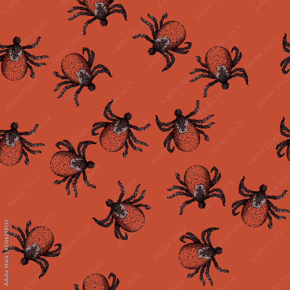 Naklejka premium pattern bite tick hand drawn. parasite animal, bed bedbug, forest encephalitis bite tick vector sketch illustration