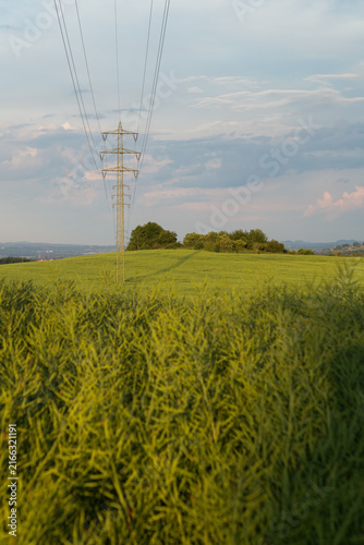 Bild auf Leinwand Electricity pylon with a rape field in foreground