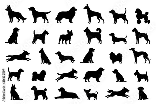 Various dog breed silhouettes set in a clean vector graphic design