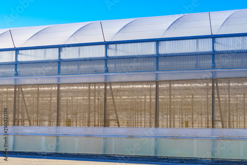 Exterior view of ommercial glasshouses structure