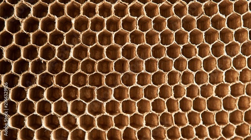 Honeycomb Cardboard Hexagonal Cell Cross-Section