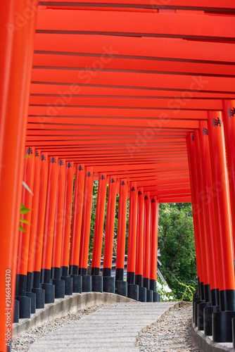 Obraz na płótnie 高山稲荷神社の千本鳥居