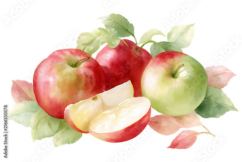 Watercolor apple illustration with cut fruit isolated on transparent background