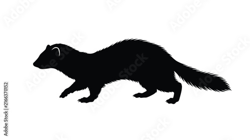 фотографія Weasel-like animal silhouette walks with a distinctive elongated body and bushy tail, presented as a bold black graphic against a pure white background, offering a versatile design element