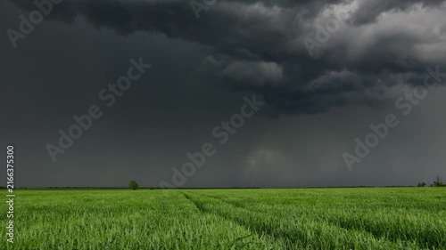 Beautiful abstract background featuring a vast green wheat field under ominous dark stormy sky with heavy rain falling in the distance during a summer thunderstorm