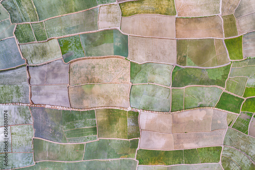 Quadro su tela Overhead aerial of irregular farm plots forming a soft mosaic of green ochre and