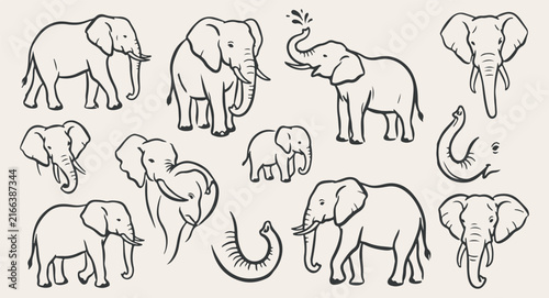 Photography cute wild elephants herd wildlife safari vector, baby elephant mother nature ani