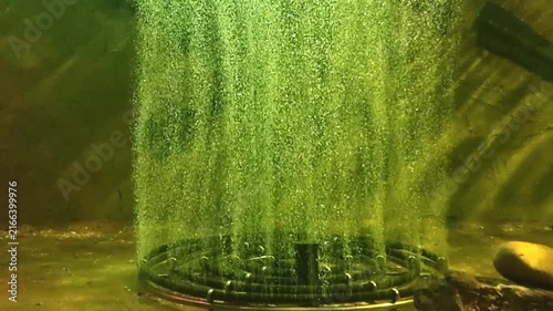 Underwater view of a circular aeration diffuser releasing a dense stream of air bubbles in murky green water. System for oxygenation and aquatic life maintenance in a large aquarium or a fish pond.