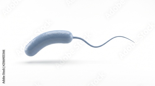 Vibrio cholerae comma shape bacteria portrait white
