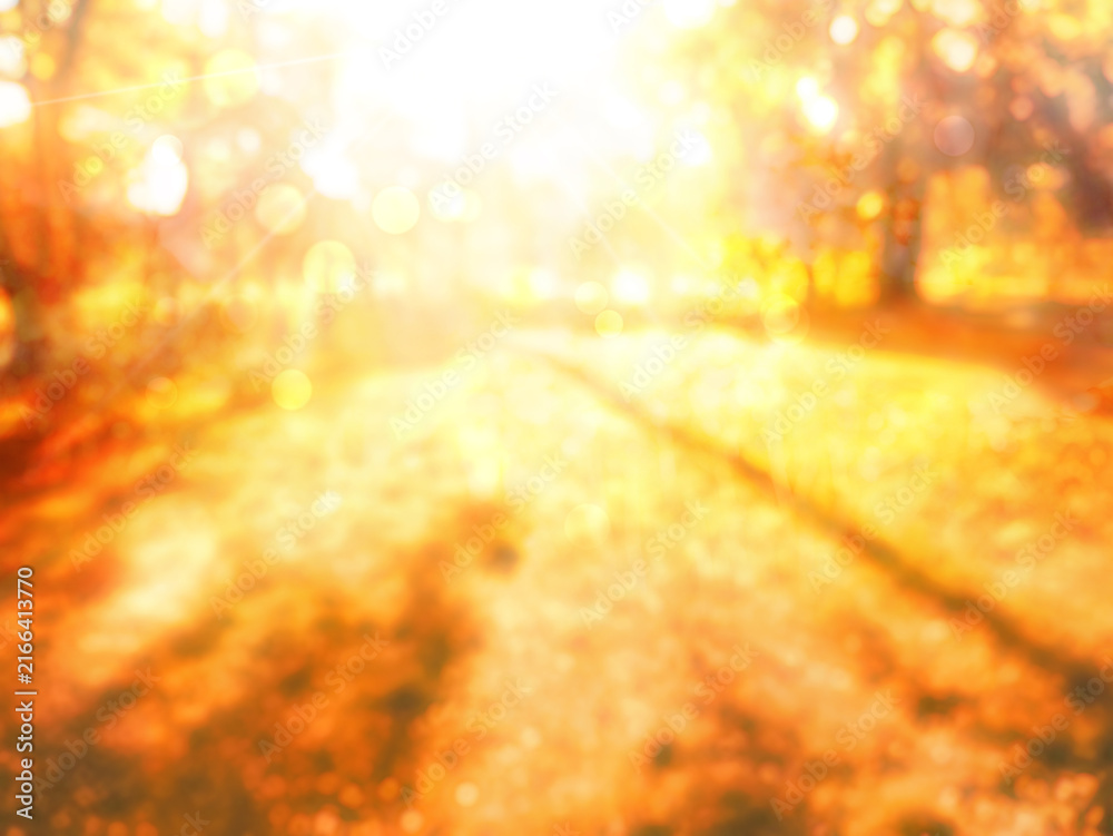 Naklejka premium fall leaves in park, autumn blurred natural background