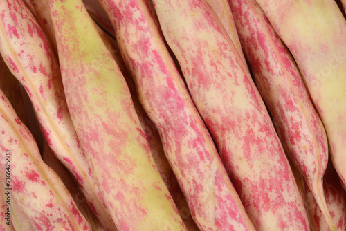 Obraz na plátně A detailed full frame macro photograph of fresh raw cranberry bean pods showing their distinctive pink and cream speckled texture