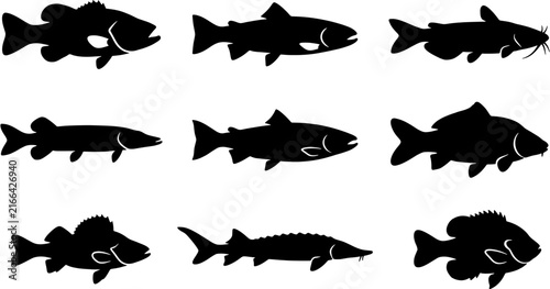 Fish icon set in a simple black silhouette style including bass, trout, catfish, pike, salmon, carp, perch, sturgeon and sunfish.
