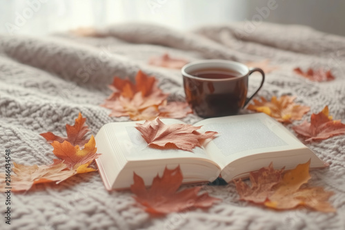 Cozy autumn reading setup with open book cup of hot tea and red maple leaves on grey knitted blanket.