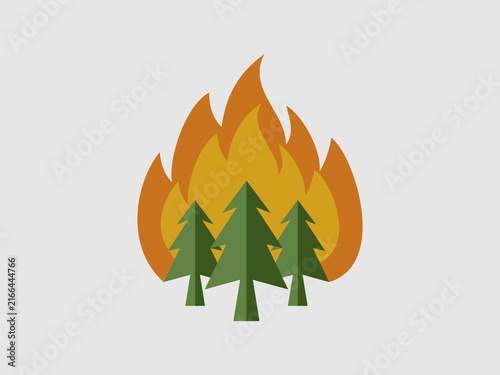A forest of pine trees engulfed in large, intense orange flames during a wildfire