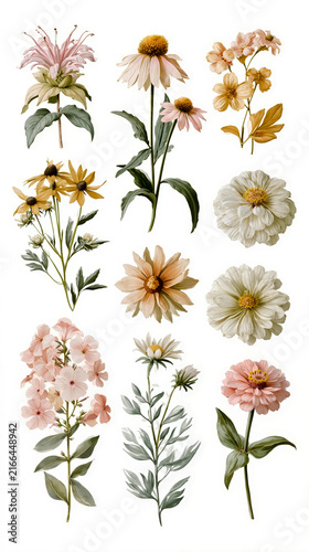A collection of nine different flowers each with its own unique color and shape arranged in a grid pattern against a white background