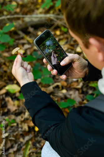 A person holds a small wild mushroom and takes a picture of it with a smartphone in an autumn forest. The image represents modern foraging, mobile technology, and nature hobbies.