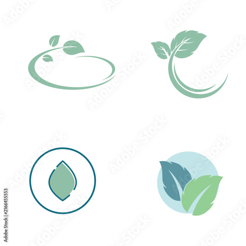 Set Leaf mint logo vector template