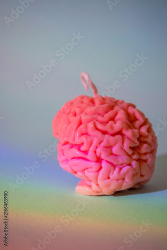 Bild auf Leinwand Handmade pink sculptural candle shaped like a human brain with a wick on top