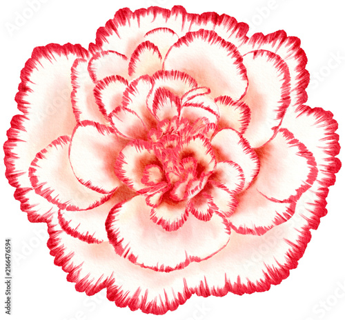 꽃