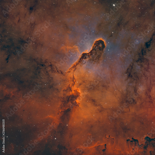 Elephant’s Trunk Nebula (IC 1396A) in the constellation Cepheus, a dark interstellar cloud surrounded by glowing ionized gas and colorful emission nebulae