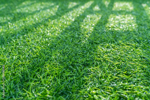 Close-up of lush green artificial grass with dense synthetic blades, creating a vibrant turf texture and seamless background.