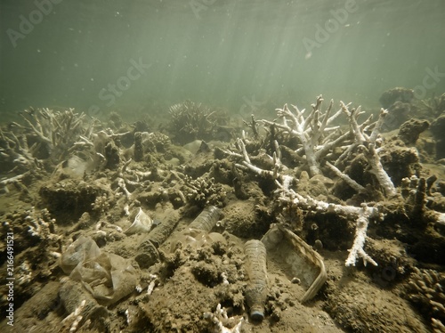 Completely barren bleached coral reef with sunken plastic debris in murky water