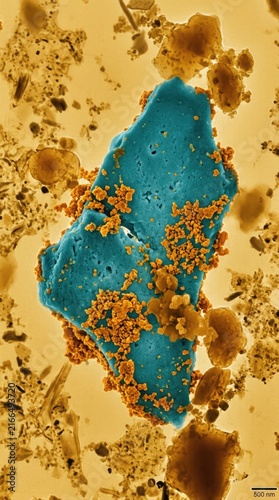 Microscopic plastic fragment demonstrating hazardous pollutant accumulation, environmental degradation, presenting danger to global ecosystem health.
