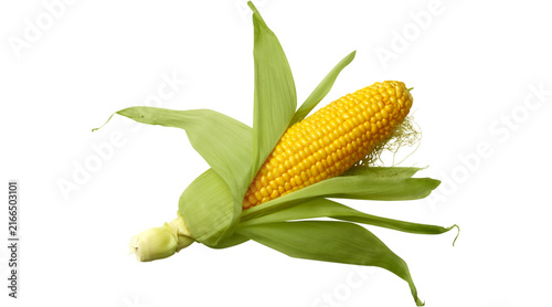 corn, corn cob, sweet corn, corn PNG, corn cob PNG, fresh corn, yellow corn, corn vegetable, corn image, corn png, png
