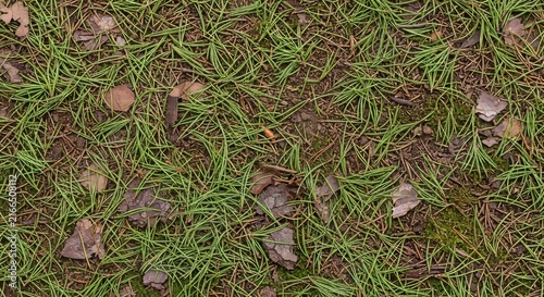 Natural ground surface covered with fallen pine needles and tree bark pieces in autumn forest scene for texture background design.