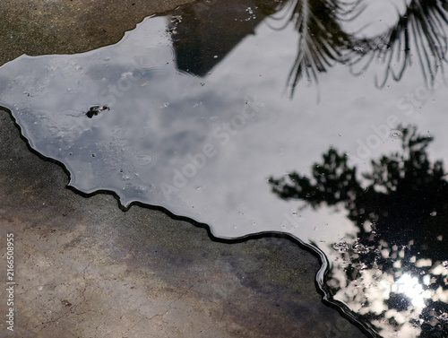 Bild auf Leinwand reflect on water and wet floor